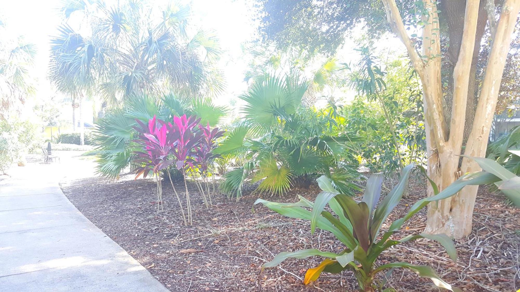 Bahama Bay Resort 16109 * Kissimmee